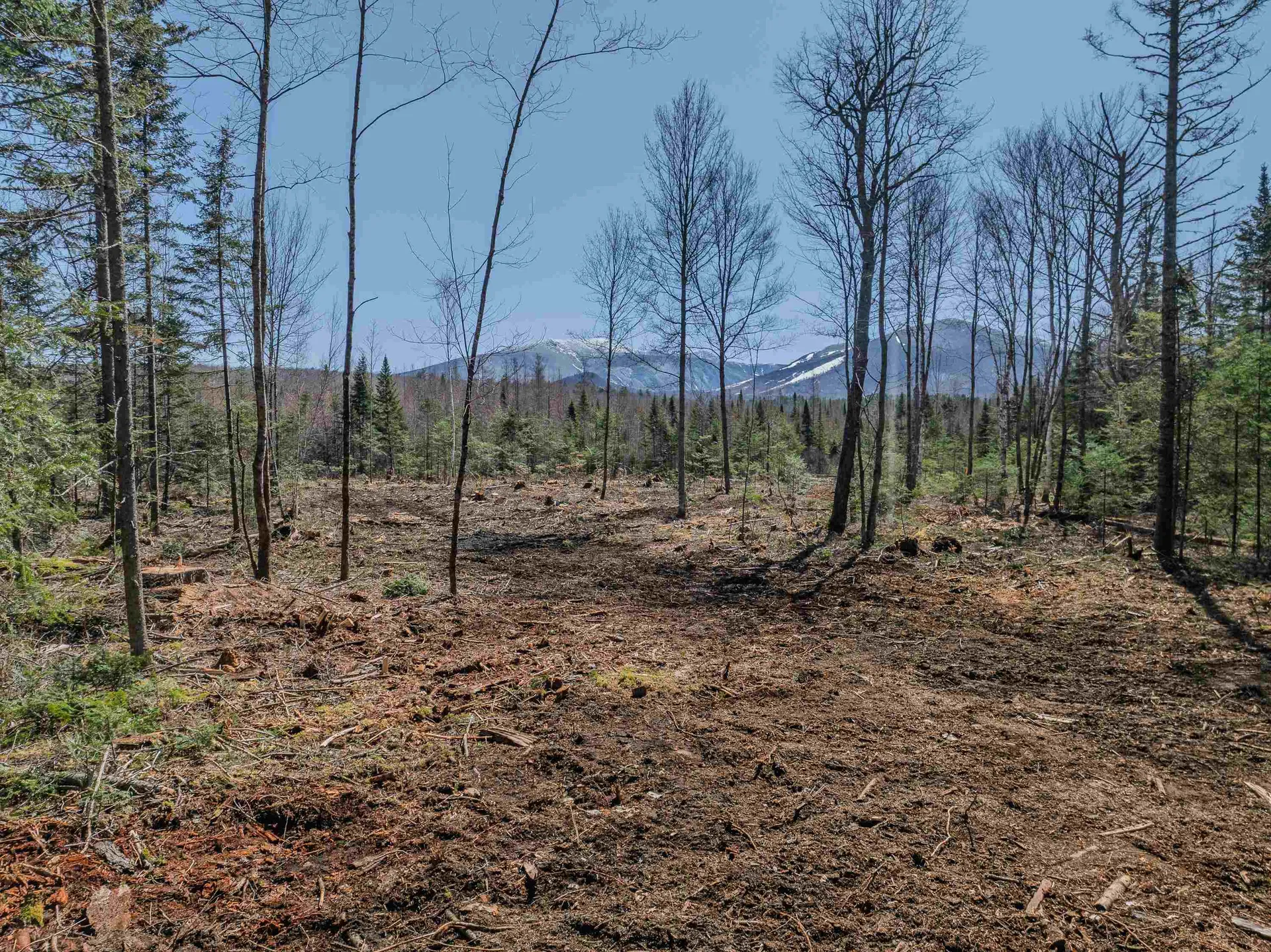 000 Easton Road Franconia NH 03580