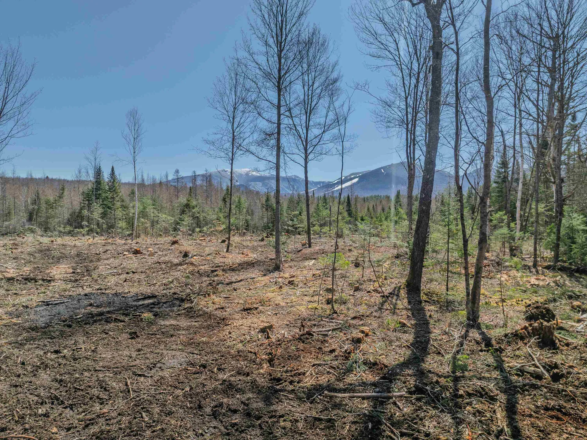 000 Easton Road Franconia NH 03580