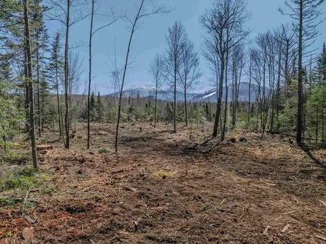 000 Easton Road Franconia NH 03580