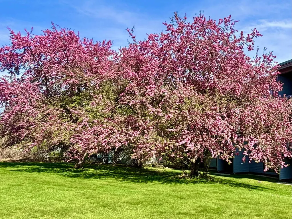 5 Tsienneto Road Derry NH 03038