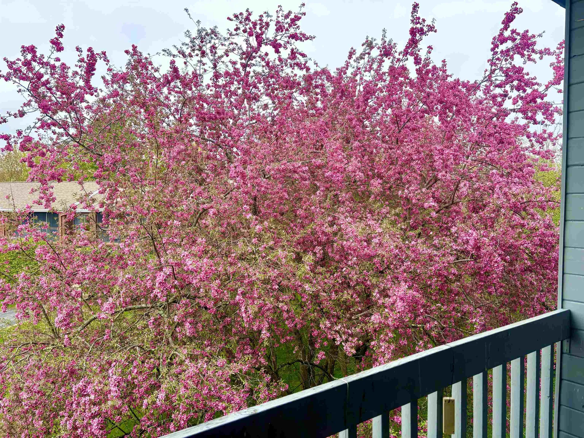 5 Tsienneto Road Derry NH 03038