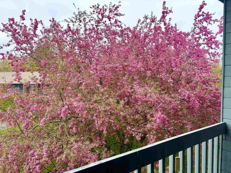 5 Tsienneto Road Derry NH 03038