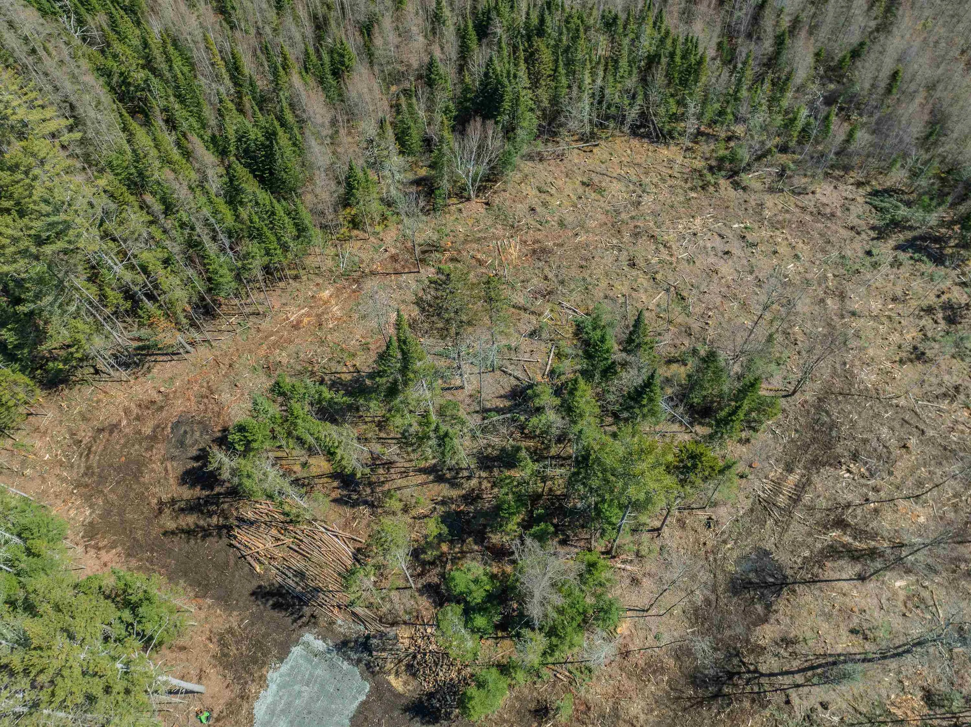 00 Easton Road Franconia NH 03580