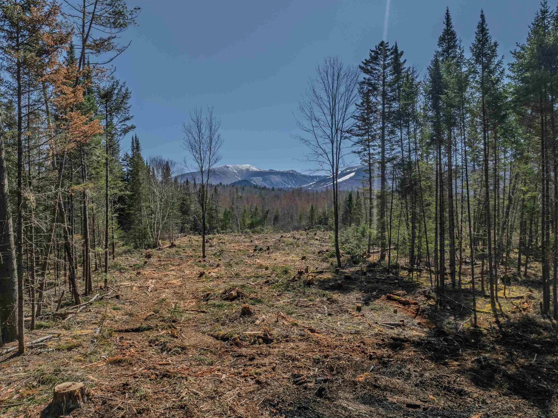 00 Easton Road Franconia NH 03580