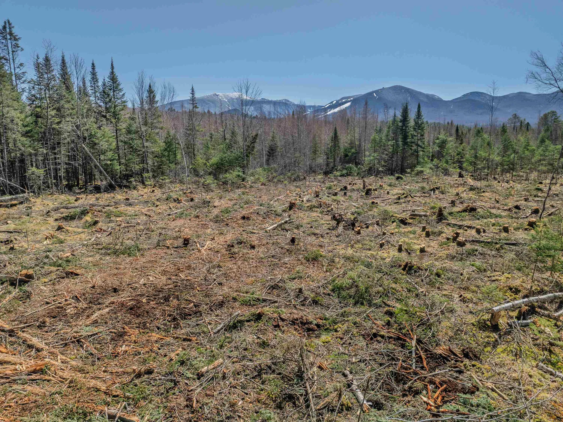 00 Easton Road Franconia NH 03580