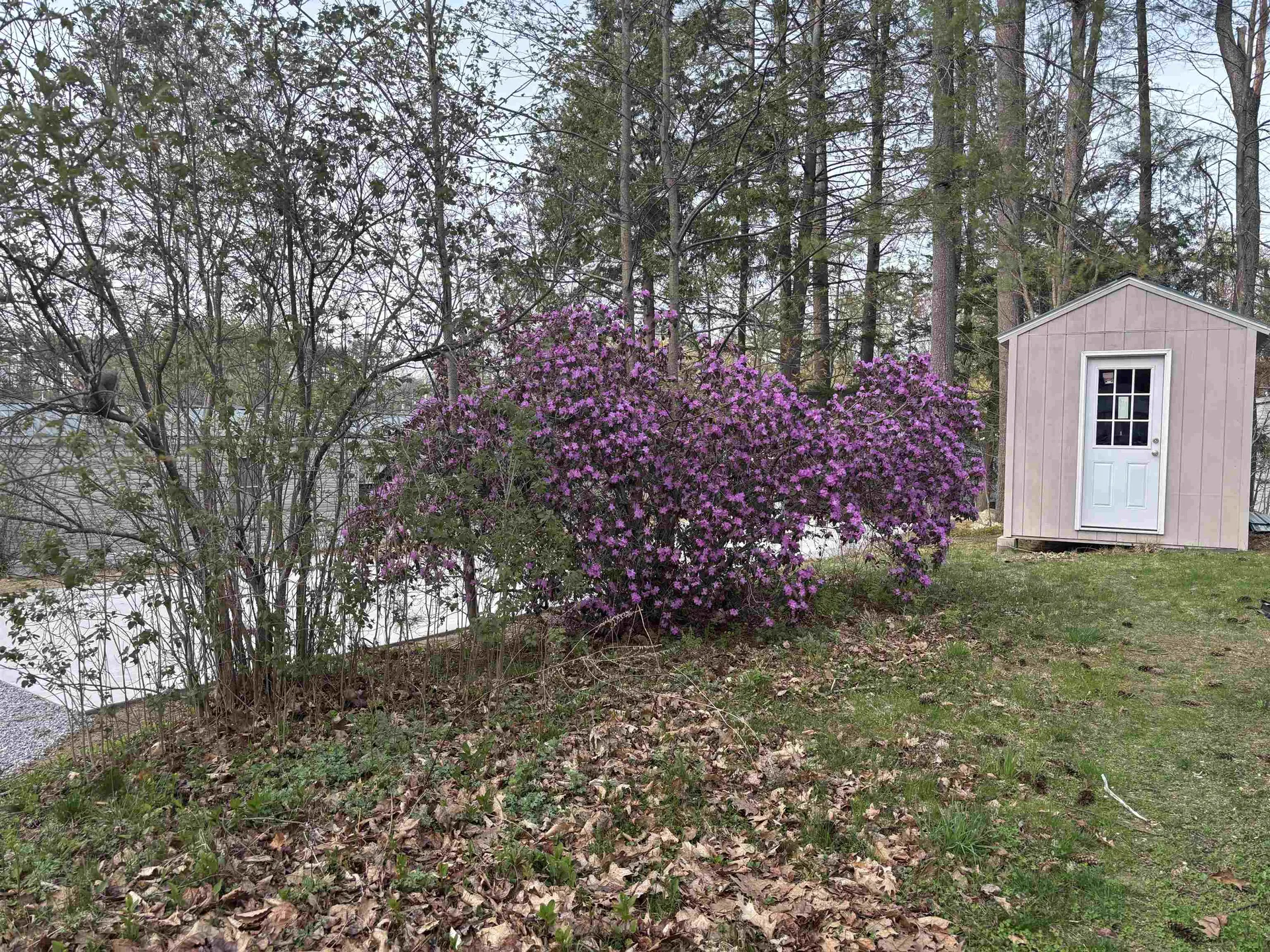 19 Blue Jay Court Keene NH 03431