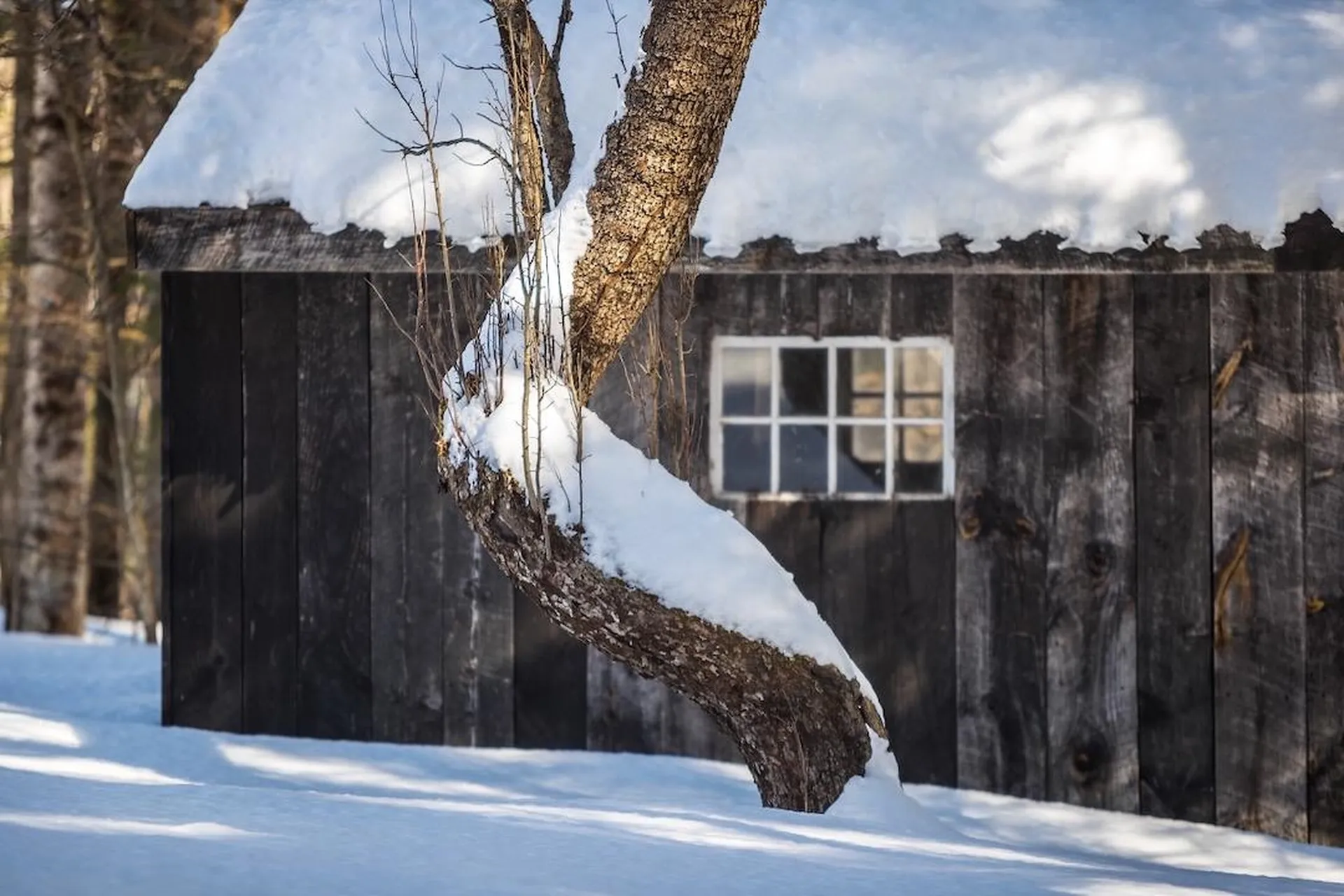 24 Vt Route 11 Landgrove VT 05148