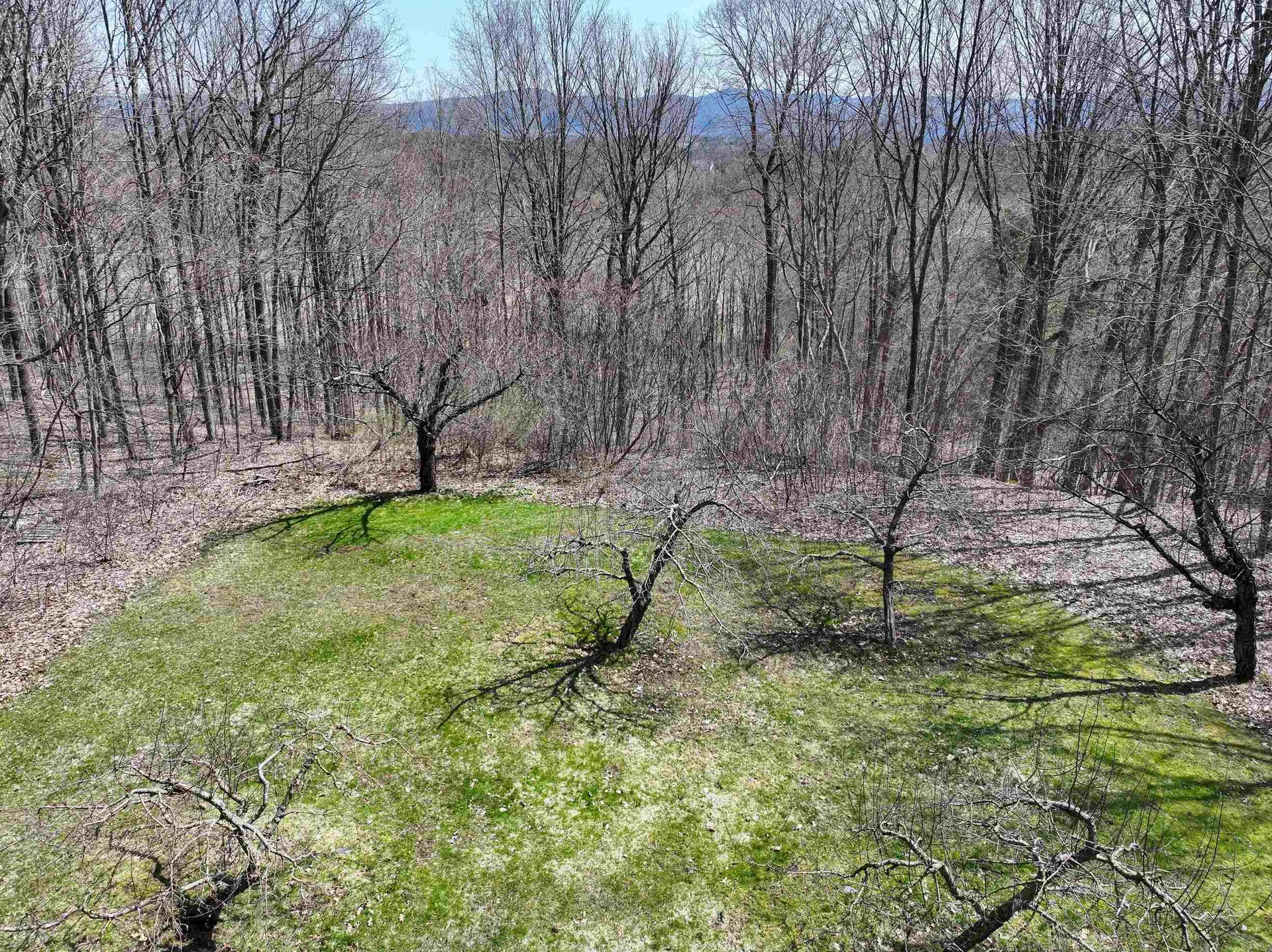 394 Cider Mill Road Cornwall VT 05753