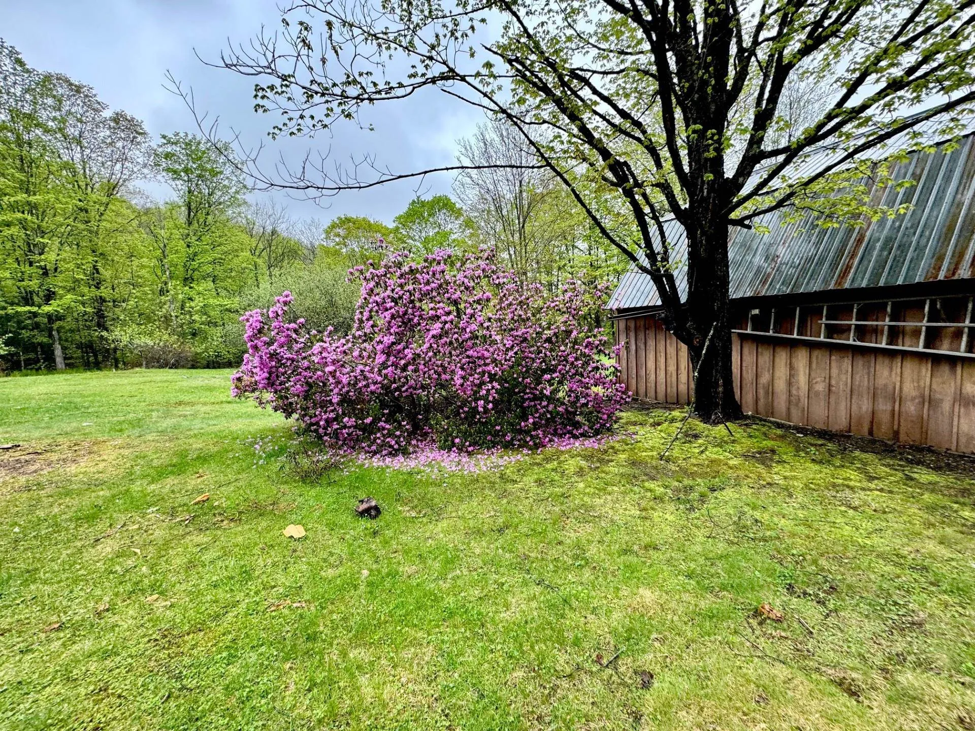 277 Old County Road Plainfield NH 03781