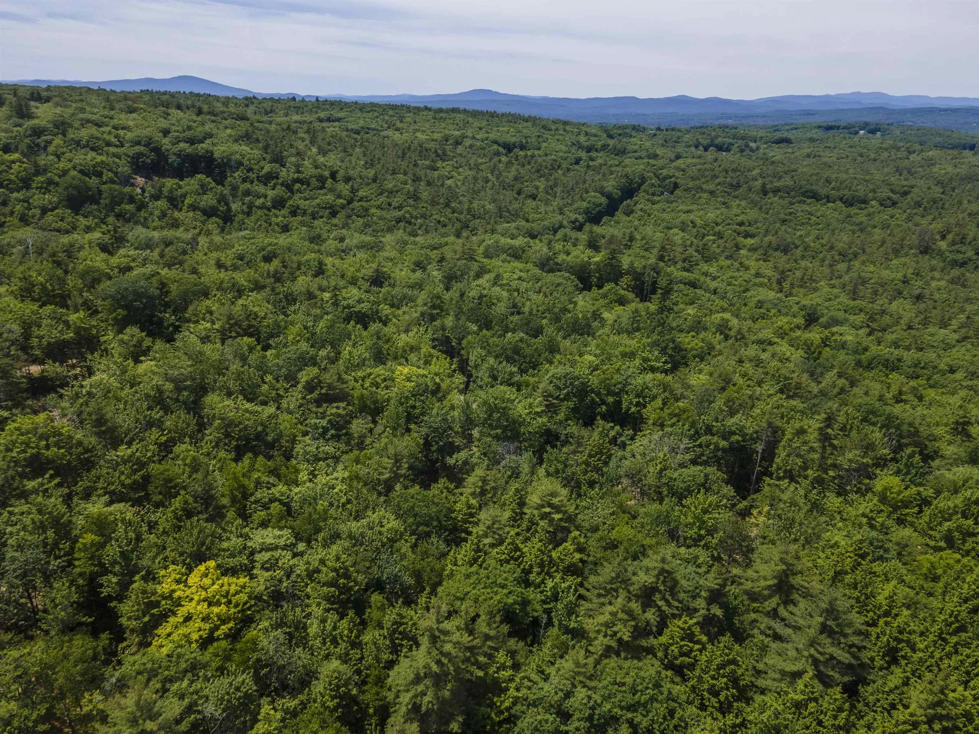 Polly Ham Road Northfield NH 03276