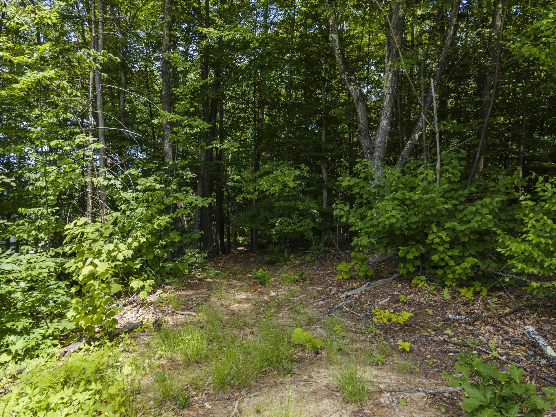 Polly Ham Road Northfield NH 03276