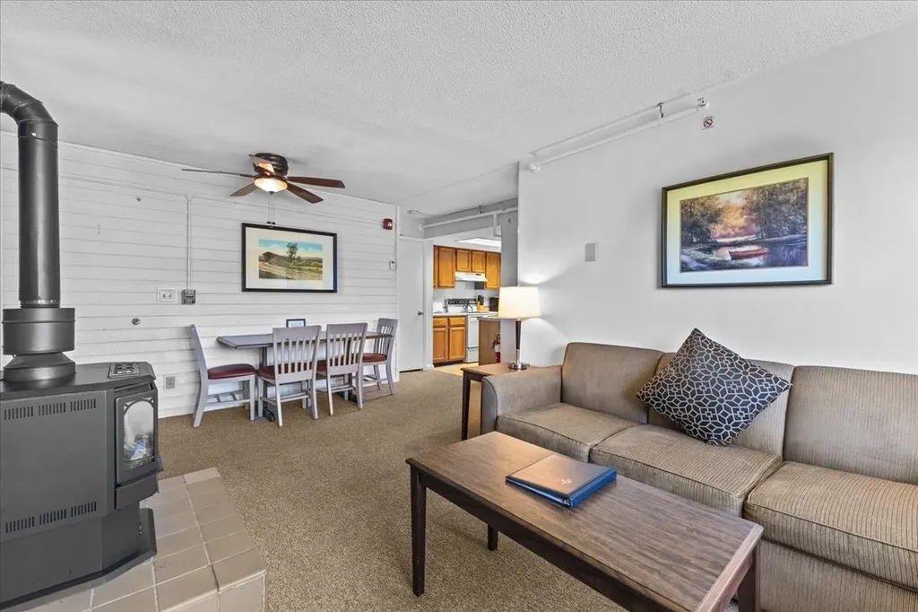 109 Mountainside Drive Stowe VT 05672