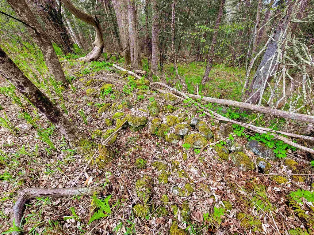 855 Campbell Road Waterford VT 05819