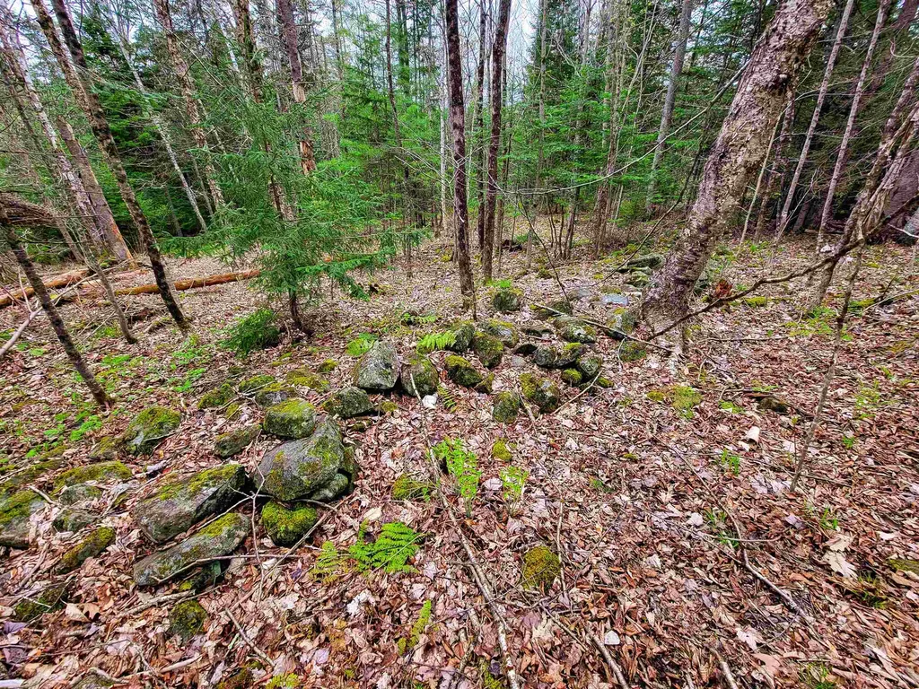 855 Campbell Road Waterford VT 05819