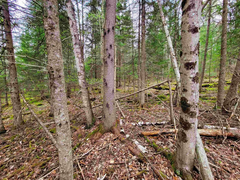 855 Campbell Road Waterford VT 05819