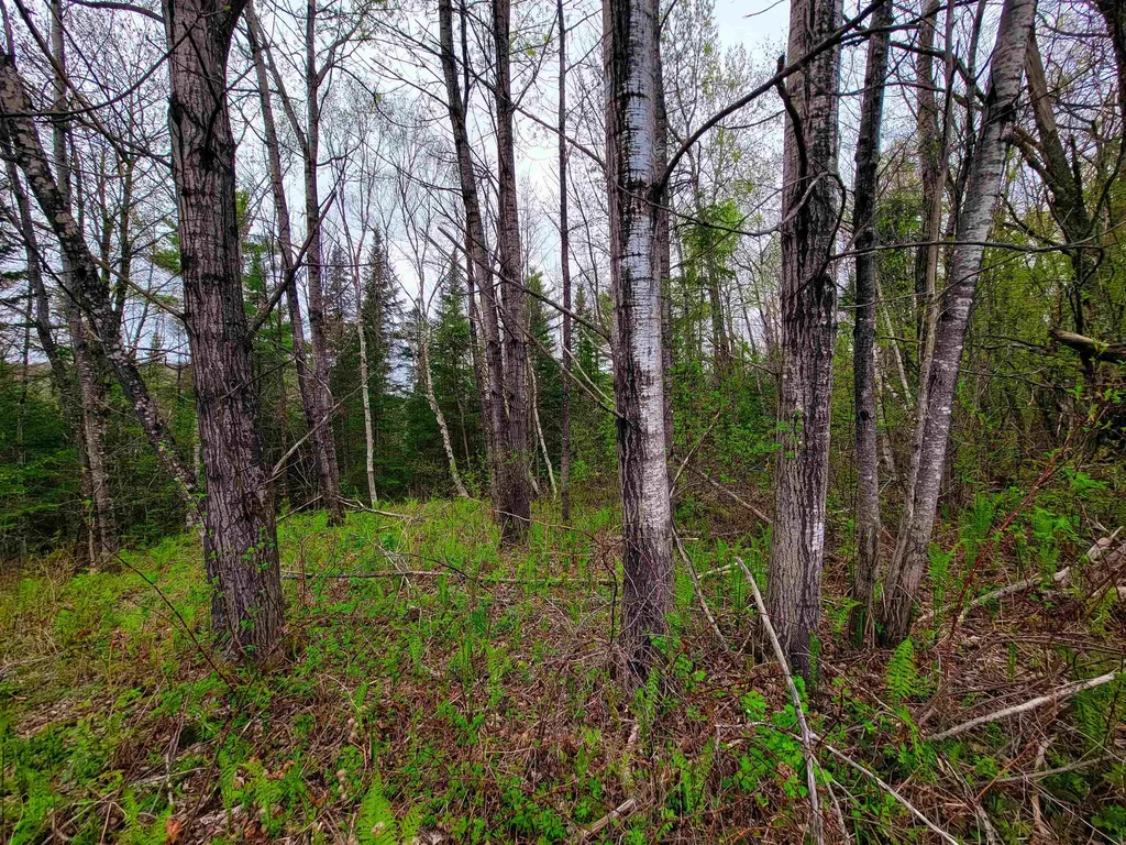 855 Campbell Road Waterford VT 05819