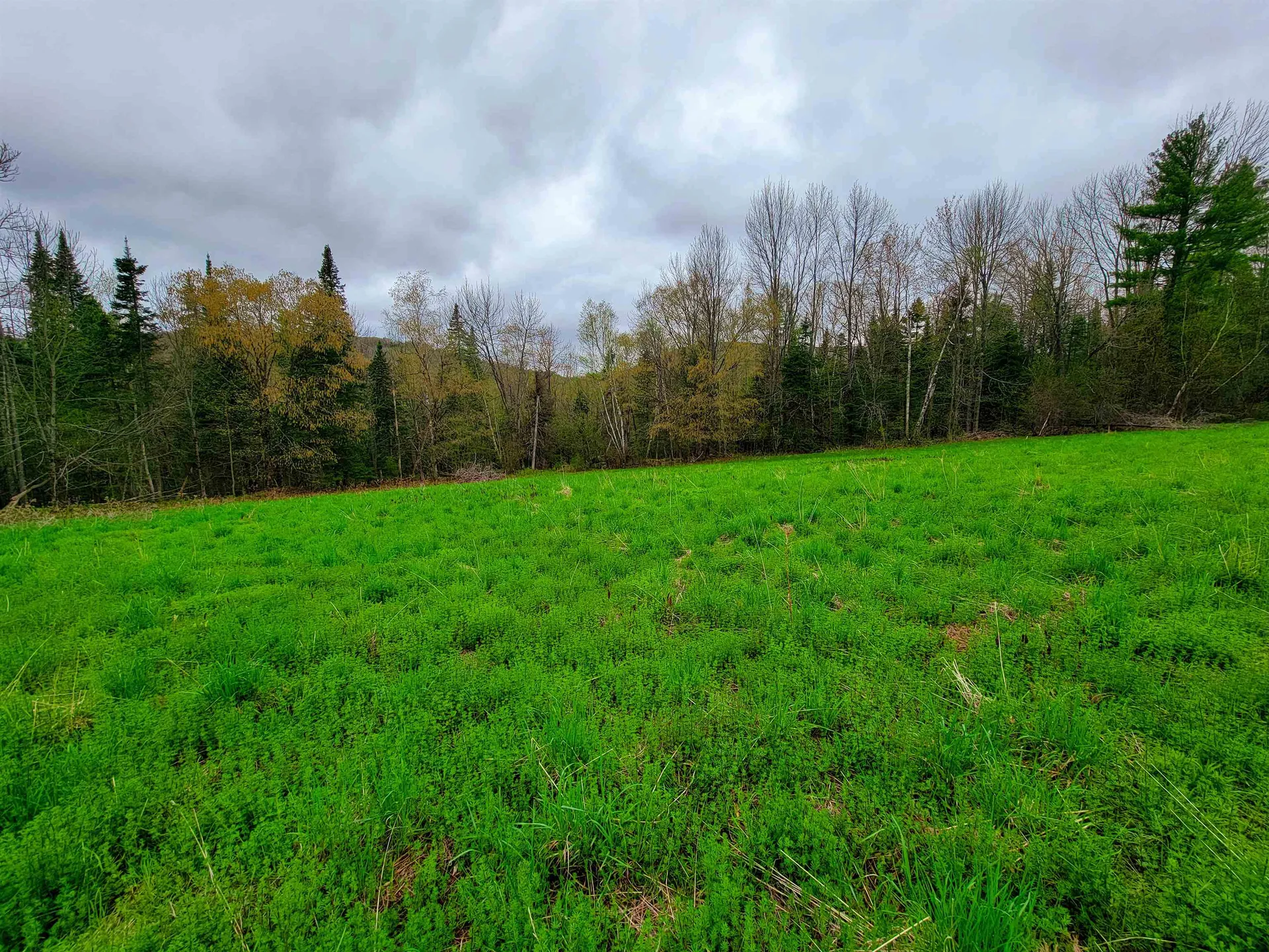 855 Campbell Road Waterford VT 05819