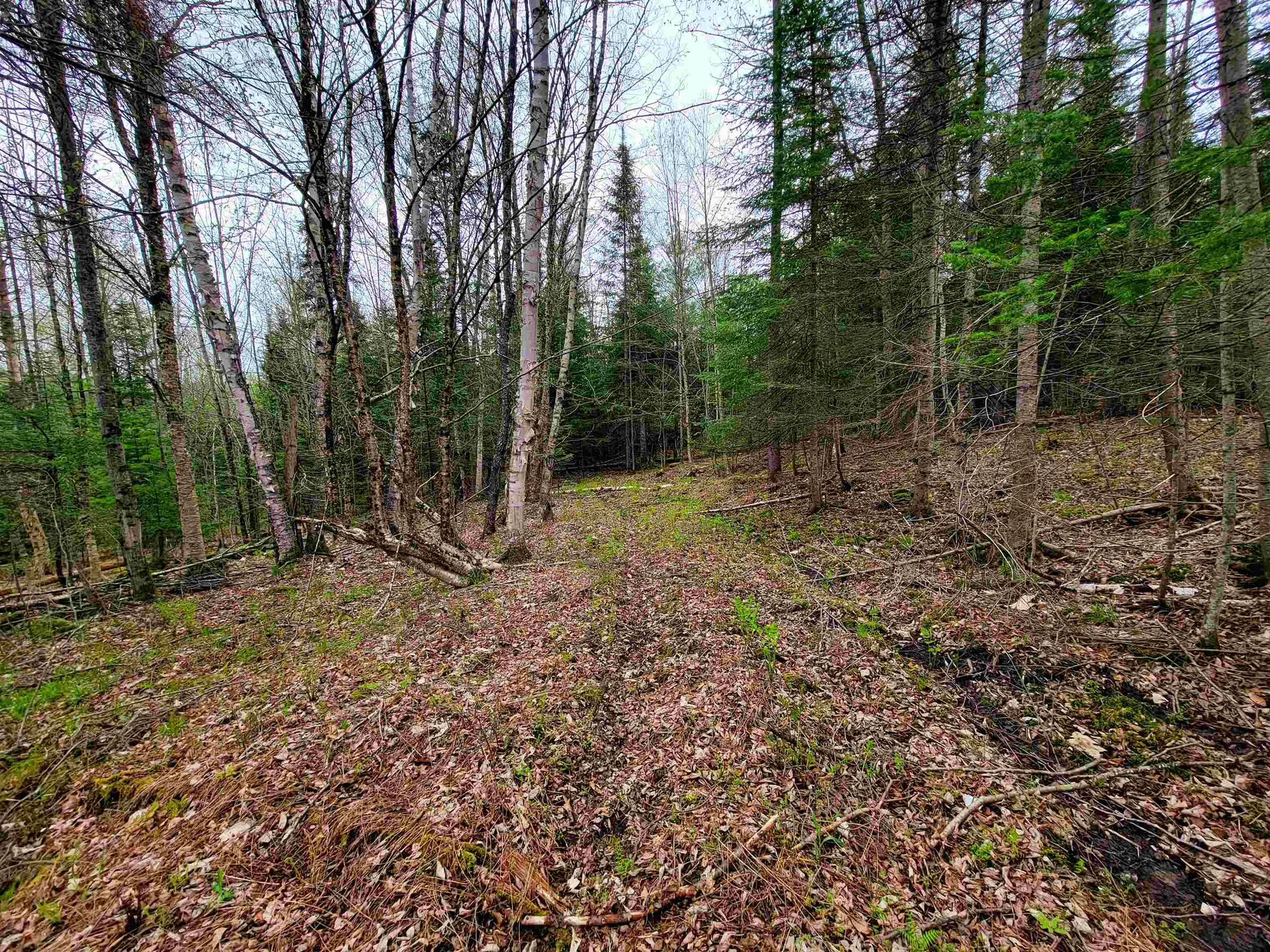 855 Campbell Road Waterford VT 05819