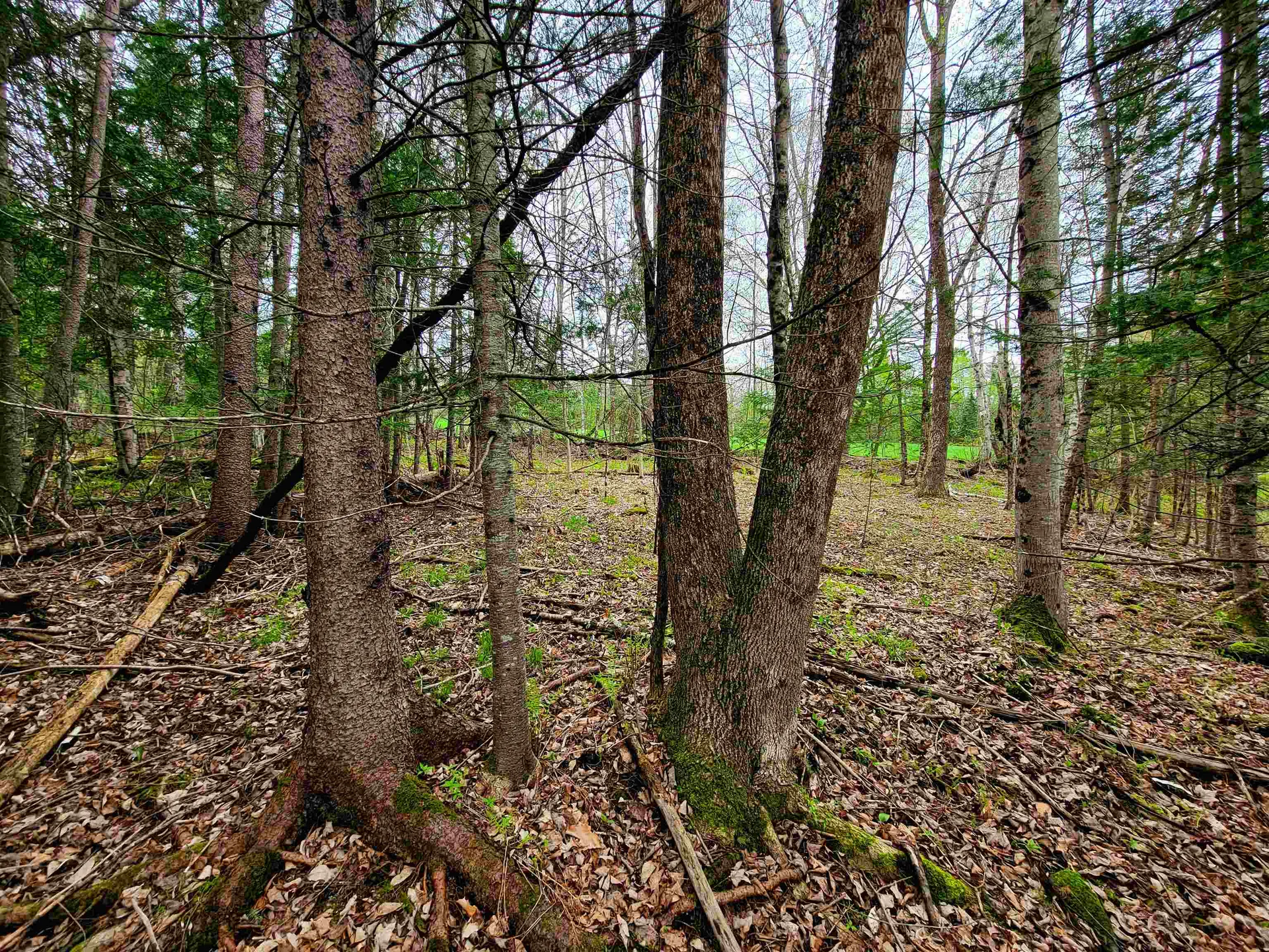 855 Campbell Road Waterford VT 05819