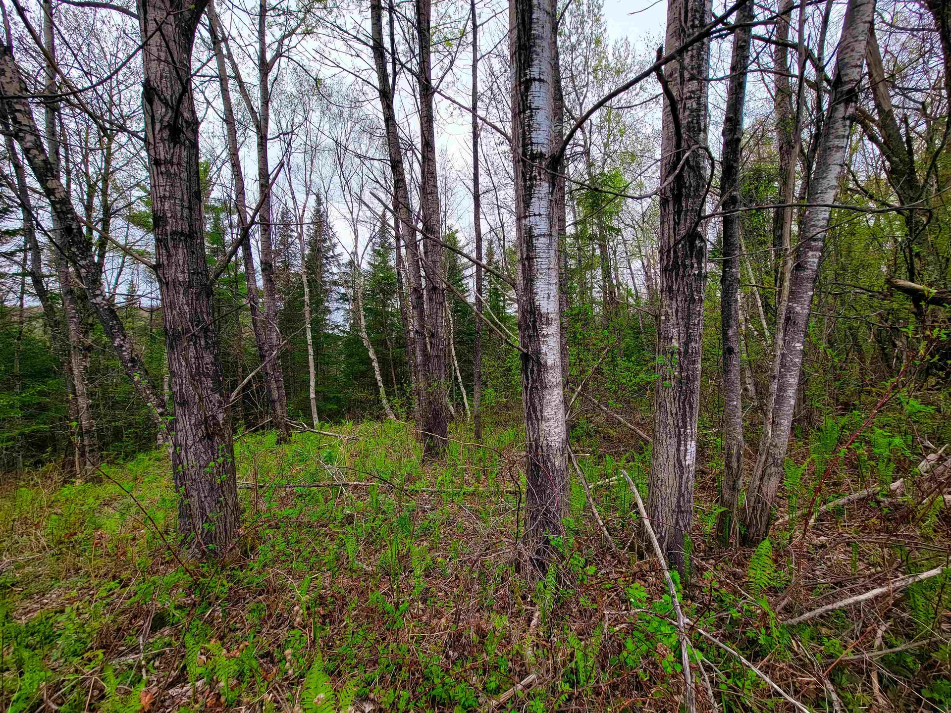 855 Campbell Road Waterford VT 05819