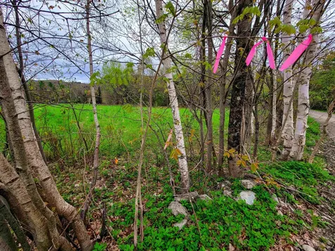 855 Campbell Road Waterford VT 05819