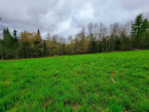 855 Campbell Road Waterford VT 05819