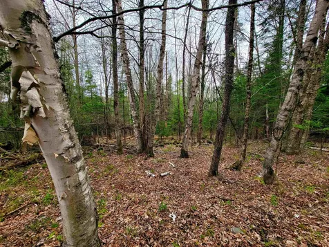 855 Campbell Road Waterford VT 05819