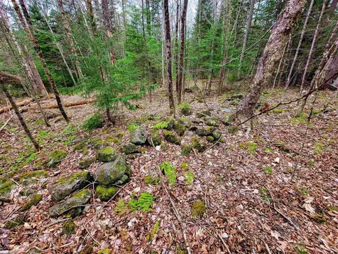 855 Campbell Road Waterford VT 05819