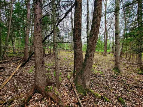 855 Campbell Road Waterford VT 05819