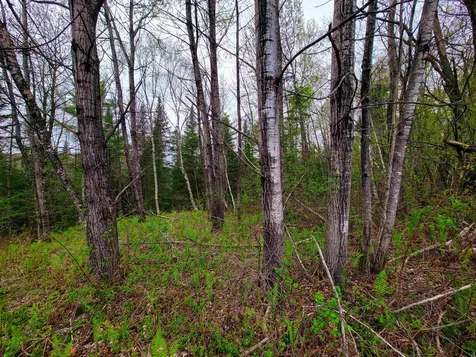 855 Campbell Road Waterford VT 05819