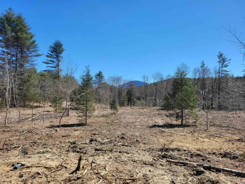 Depot Street Andover NH 03216