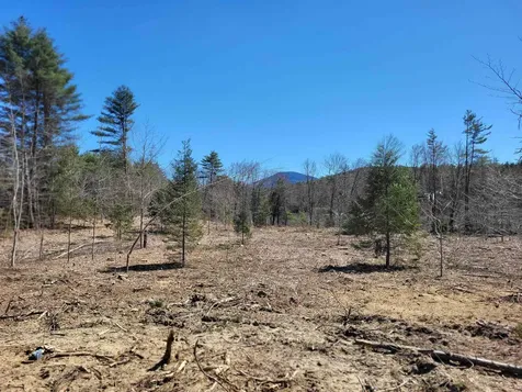 Depot Street Andover NH 03216