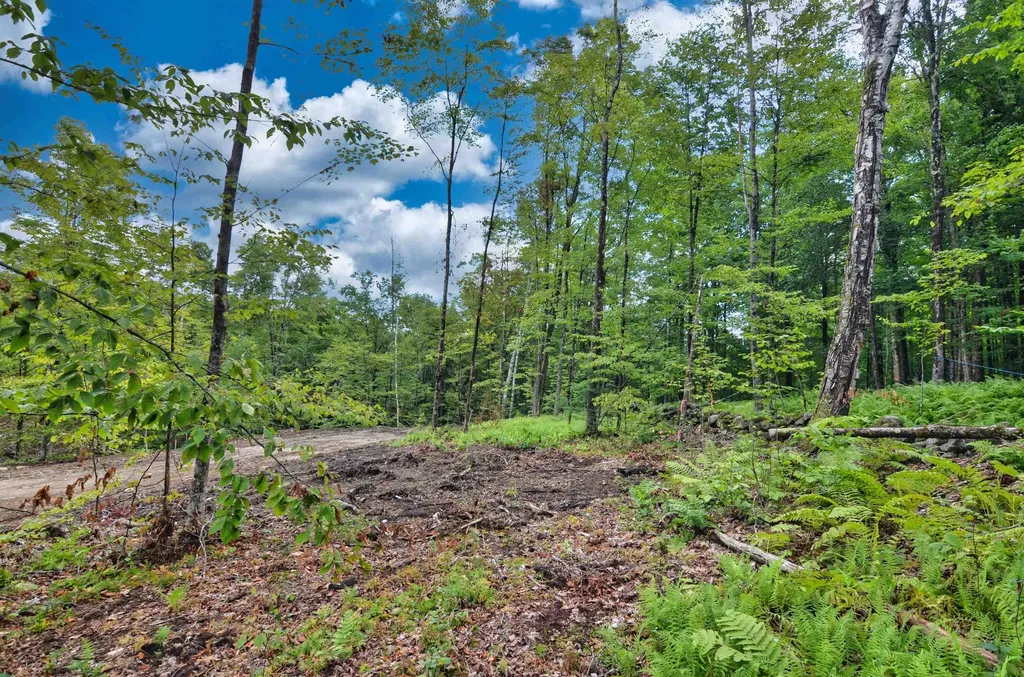 Lot 02 Franklin Highway Andover NH 03216