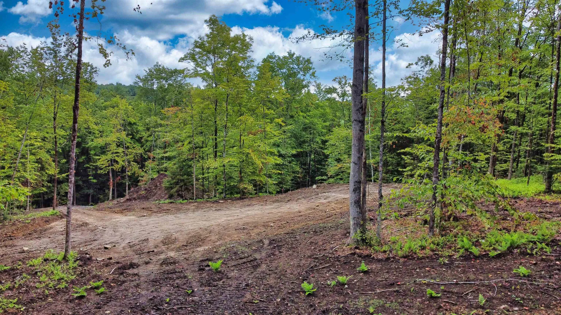 Lot 02 Franklin Highway Andover NH 03216