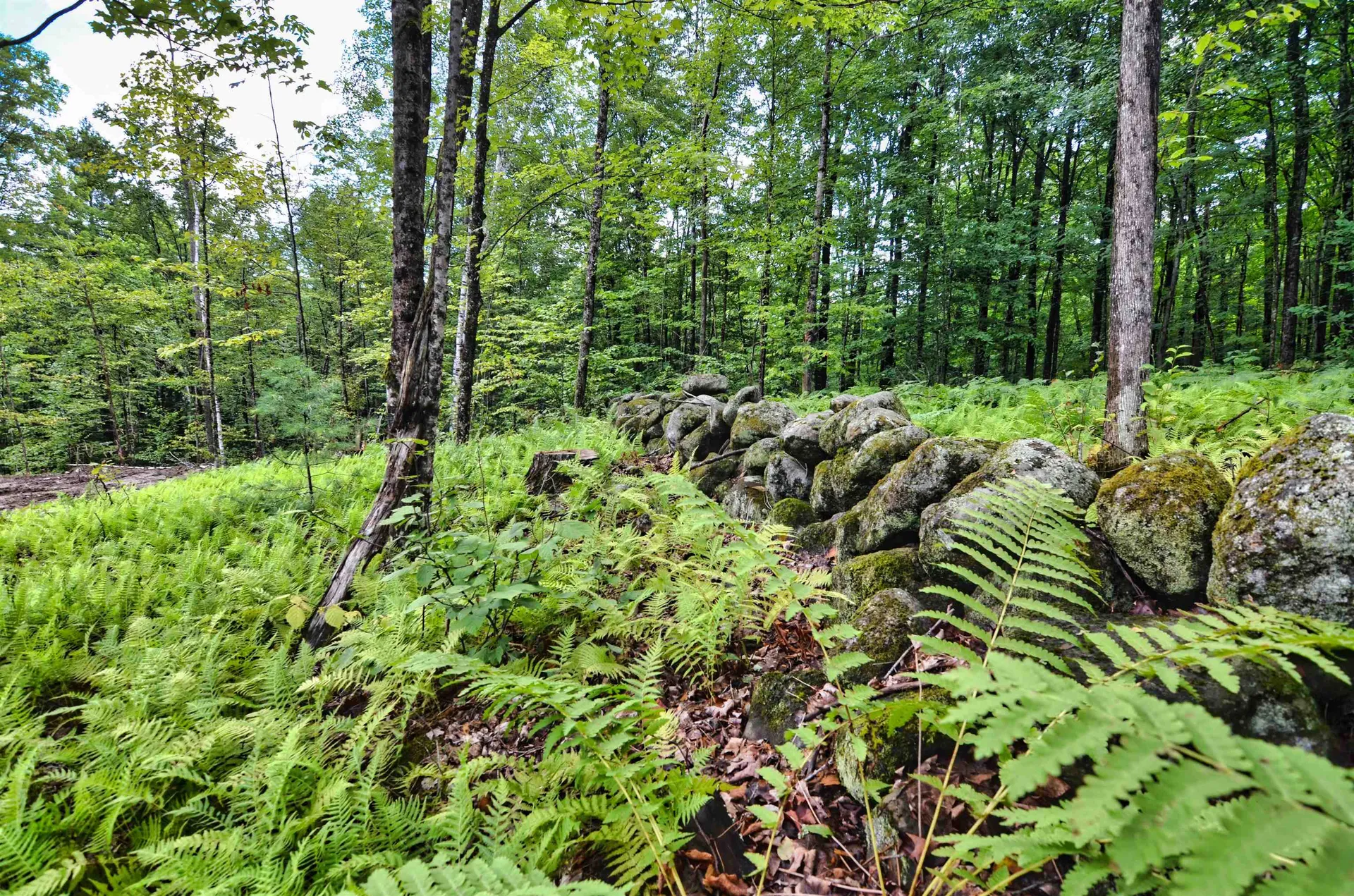 Lot 02 Franklin Highway Andover NH 03216