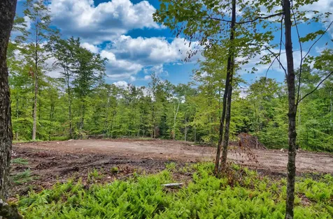 Lot 02 Franklin Highway Andover NH 03216