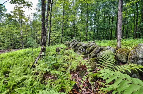 Lot 02 Franklin Highway Andover NH 03216