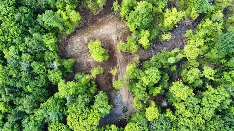 Lot 02 Franklin Highway Andover NH 03216