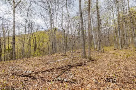 Tbd Tower Road Dorset VT 05251