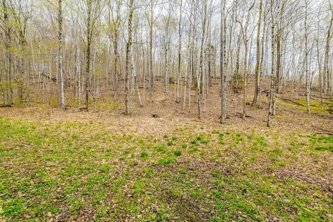 Tbd Tower Road Dorset VT 05251