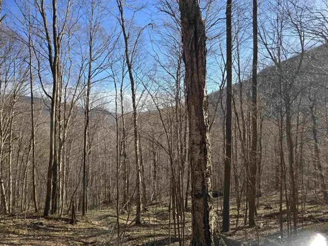 Tbd Tower Road Dorset VT 05251