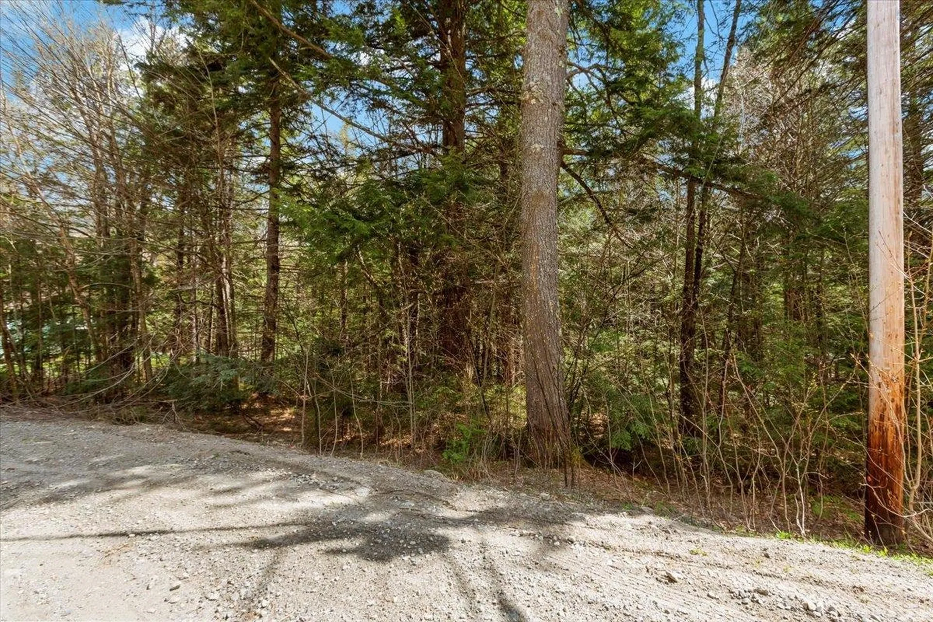 L40 Boardman Loop Wardsboro VT 05355