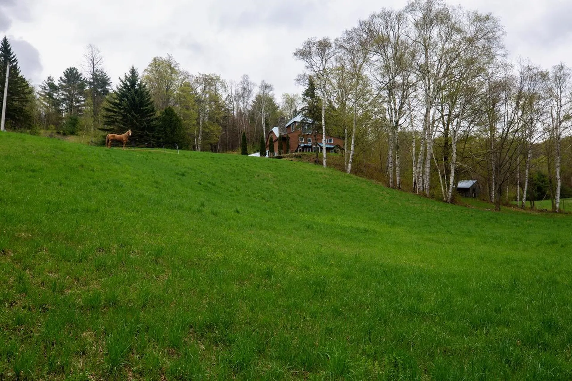 1605 Kingdom Road Vershire VT 05079