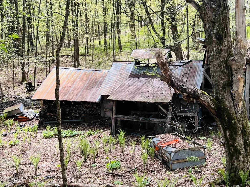 322 Coffin Road St. Johnsbury VT 05819