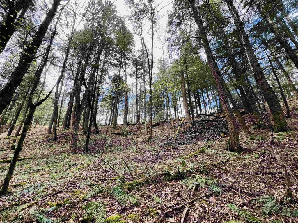 322 Coffin Road St. Johnsbury VT 05819