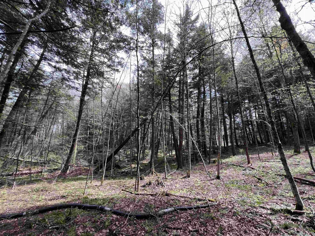 322 Coffin Road St. Johnsbury VT 05819