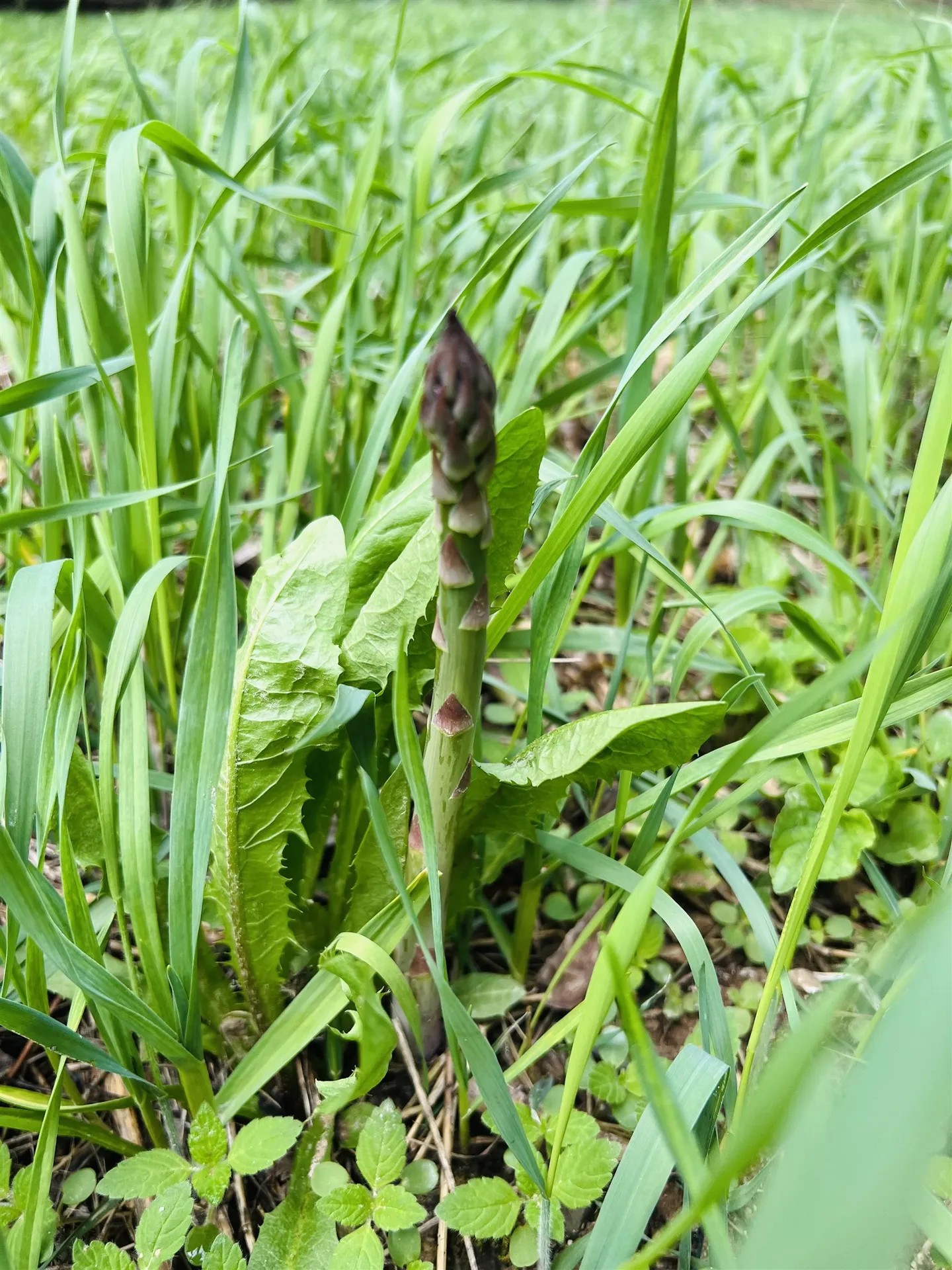 322 Coffin Road St. Johnsbury VT 05819