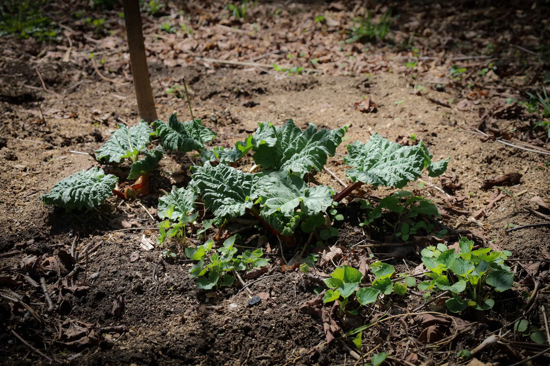 322 Coffin Road St. Johnsbury VT 05819