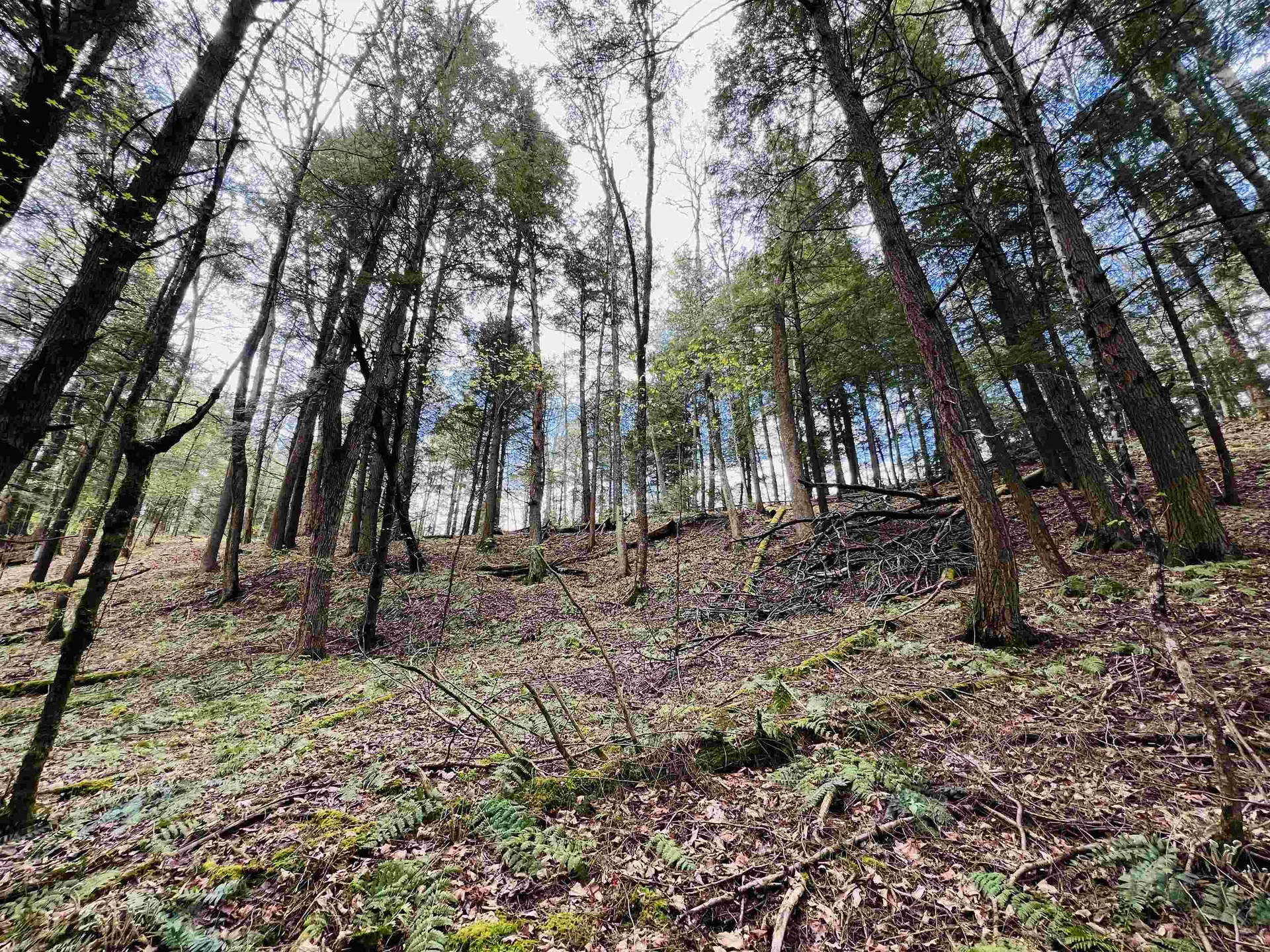 322 Coffin Road St. Johnsbury VT 05819