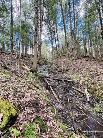 322 Coffin Road St. Johnsbury VT 05819